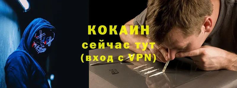 Кокаин VHQ  купить  сайты  Полярный 